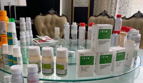 專(zhuān)業(yè)方案,更優(yōu)選擇 河南瀚斯夏季除草劑產(chǎn)品技術(shù)培訓(xùn)會(huì)山東曹縣專(zhuān)場(chǎng)圓滿召開(kāi)